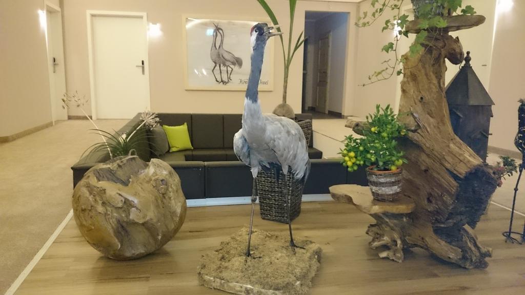Hotel Weiss Angermunde Luaran gambar